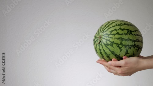 Female hands holding out green striped watermelon from the side. Copy space