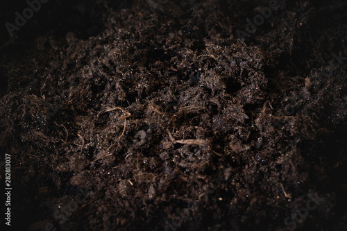 Soil texture.Background of soil with vignette