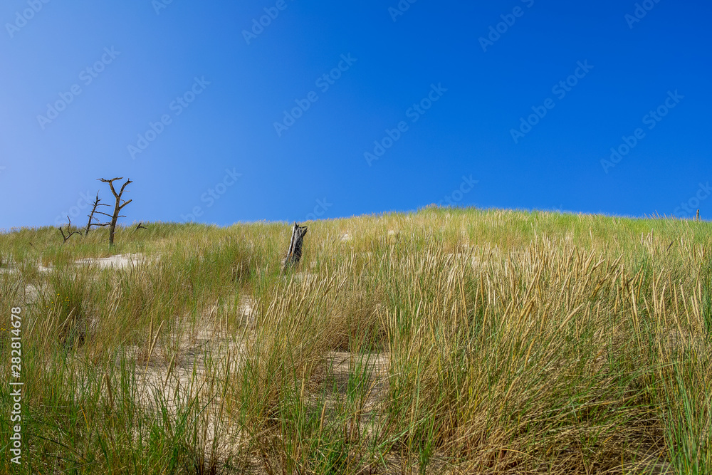 Moving Dunes in Northern Poland. A Desert by the Sea. Incredible Place on Earth. Pictures Taken in Very Hot Day with No Clouds. Moving Dunes in Northern Poland. A Desert by the Sea. Incredible Place on Earth. Pictures Taken in Very Hot Day with No Clouds.