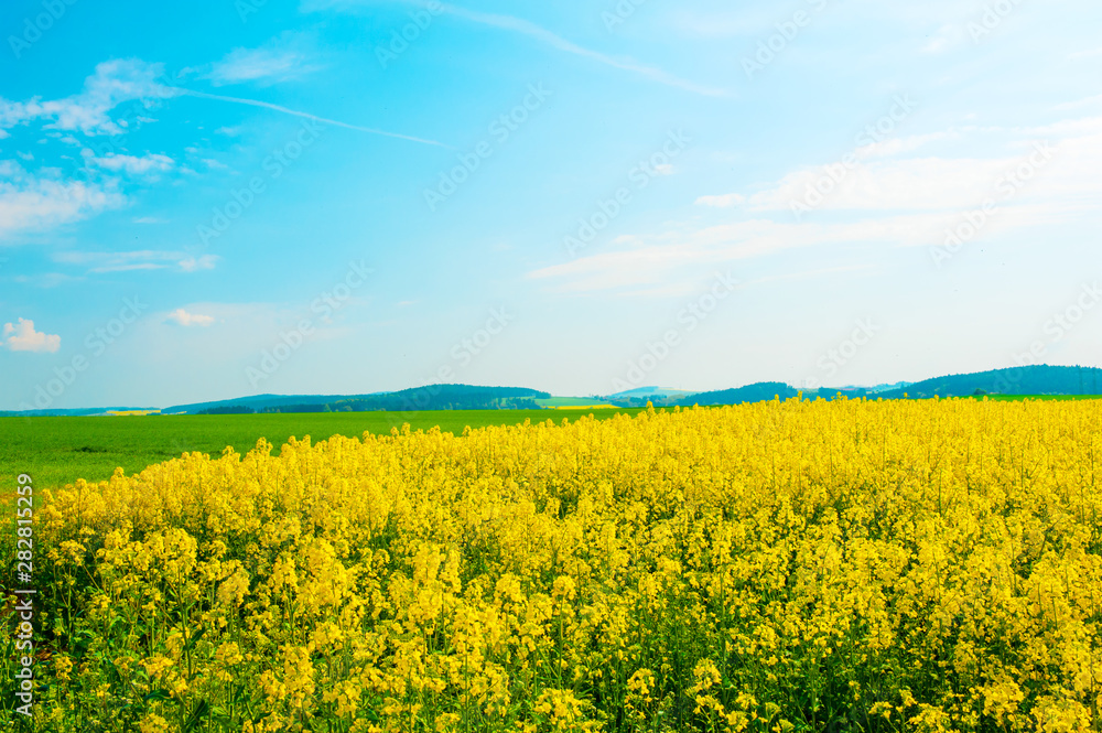 Rural landscape