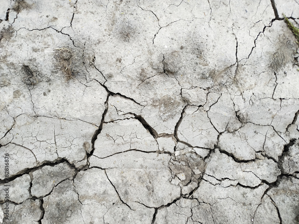 Cracked dry ground. Background, top view. Cracked dry ground. Background, top view.