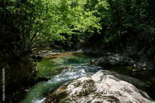 mountain river flowing on the rocky bottom of the river  having a white color  surrounded by trees  on a sunny day  with clouds in the sky. Spring view of the Crimean mountains.