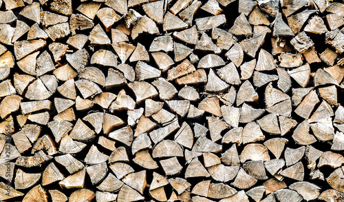 Chopped wood stacked in a woodpile