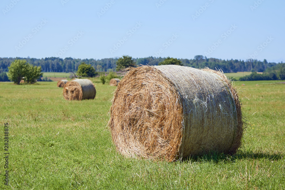 hay rolls on a mowed field in a village in summer hay rolls on a mowed field in a village in summer
