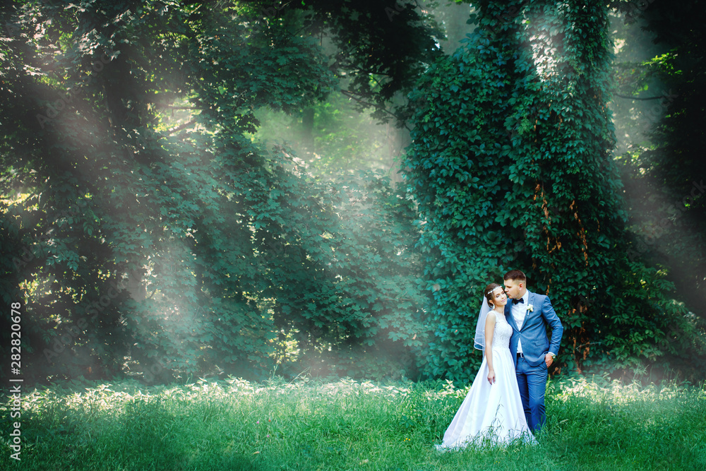 A couple of newlyweds in a smoky forest A couple of newlyweds in a smoky forest