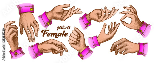 Color Different Gesture Set Vintage Vector. Female Woman Hand Gesture Looks Like Holding Cup Coffee Or Bag, Cigarette Or Violin, Balloon Or Umbrella. Illustrations