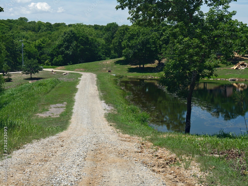 Rugged road with a pool of water by the roadside at Chickasaw National Recreation Area in Davis, Oklahoma