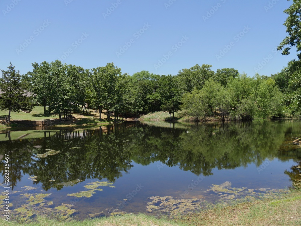 Scenic view by a lake, with the trees reflected in the water