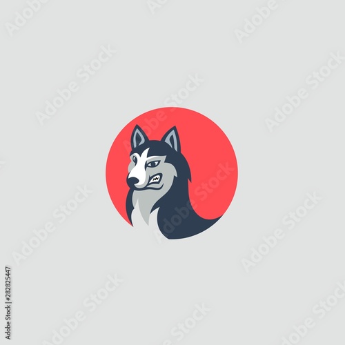 Wolf Designs Illustration Vector Template