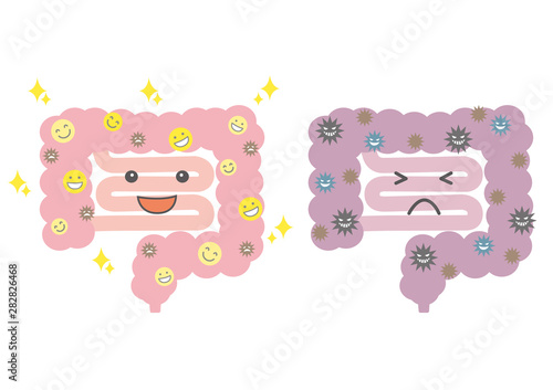 腸活イラスト（綺麗な腸と汚い腸）