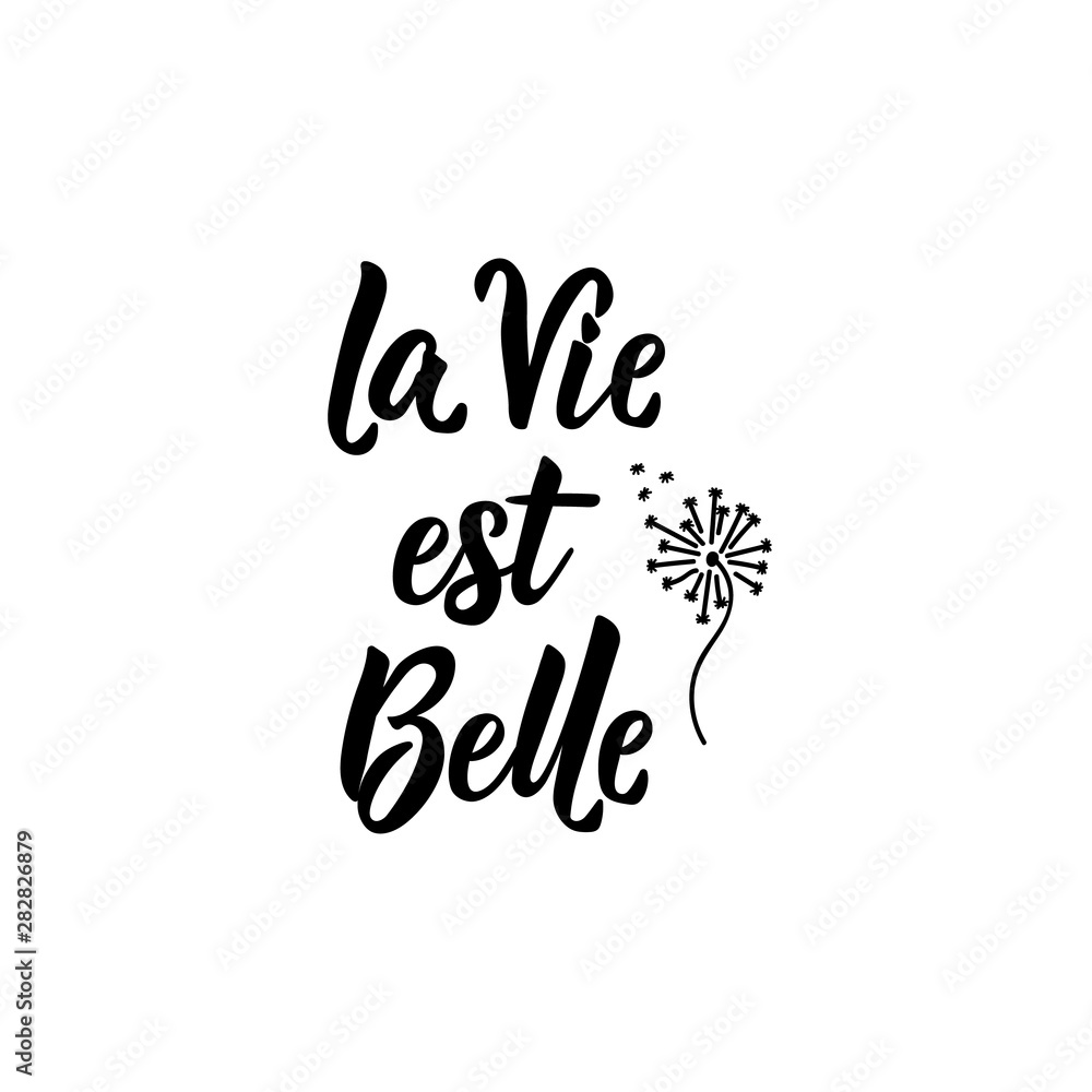 Translation from French: Life is beautiful. Vector illustration. Lettering. Ink illustration. La Vie est Belle. Translation from French: Life is beautiful. Vector illustration. Lettering. Ink illustration. La Vie est Belle.