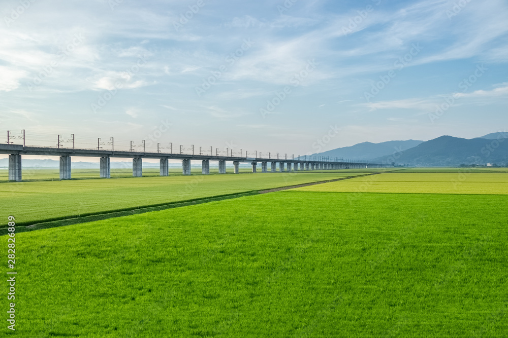 鉄橋 鉄橋