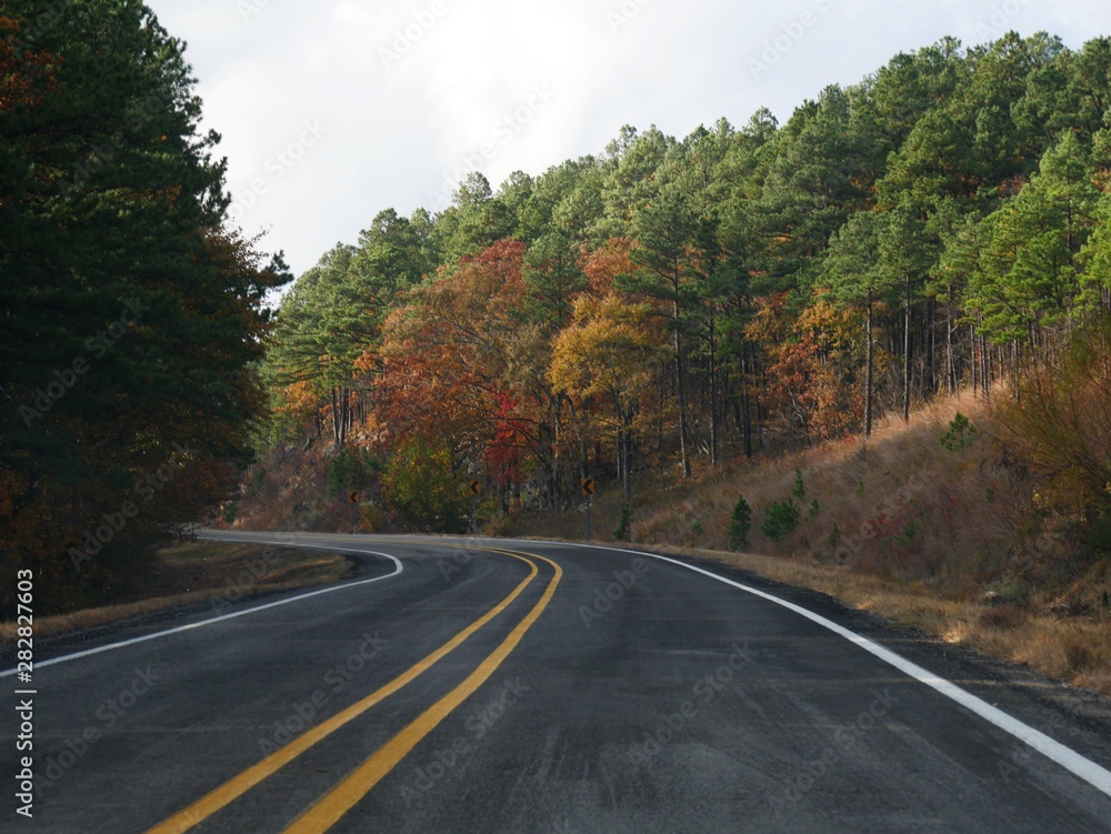 Scenic road with colorful trees at Fall