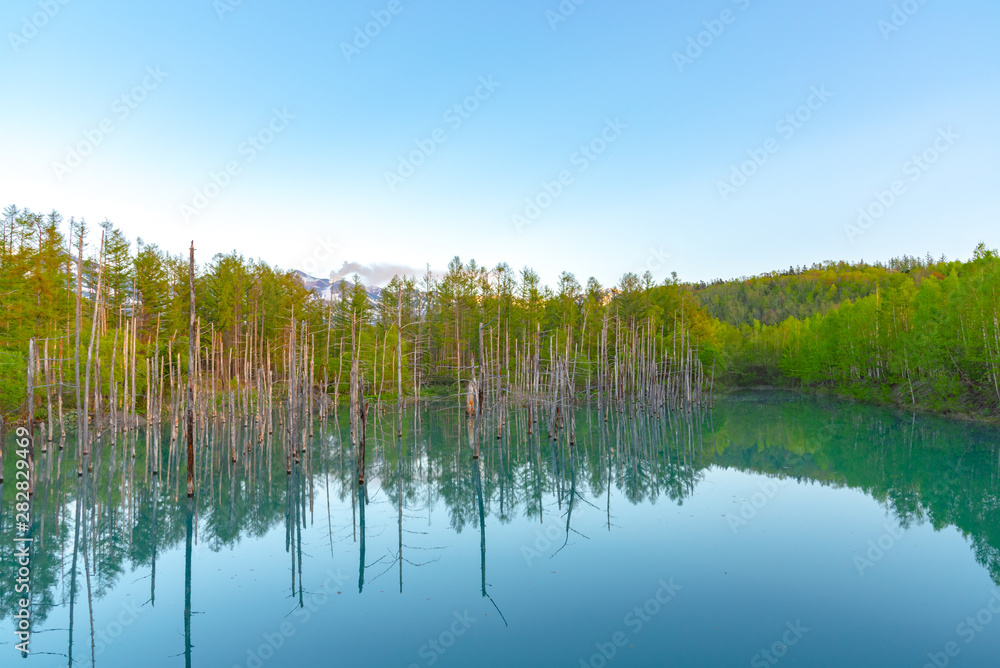 Blue pond (Aoiike) with reflection of tree in summer, located near Shirogane Onsen in Biei Town, Hokkaido, Japan