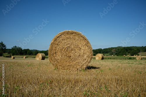 La campagne photo