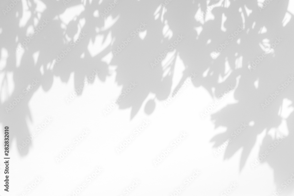 Gray shadow of the hawthorn tree leaves on a white wall. Abstract neutral nature concept blurred background. Space for text. Overlay effect for photos and mockups.	