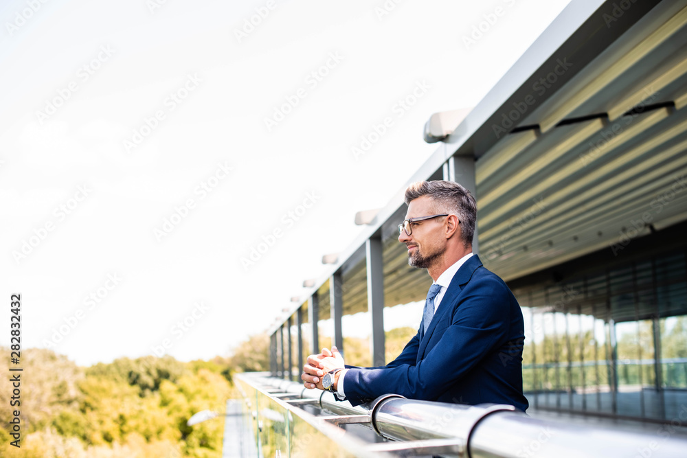 side view of handsome businessman in formal wear and glasses looking away side view of handsome businessman in formal wear and glasses looking away