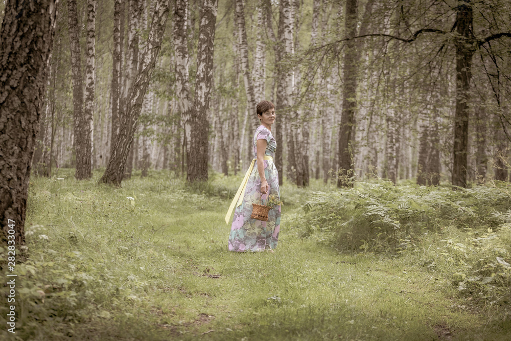 A young woman in a dress collects mushrooms, berries in a basket. Harvesting in a birch forest with ferns A young woman in a dress collects mushrooms, berries in a basket. Harvesting in a birch forest with ferns