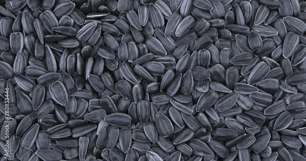 Sunflower seeds rotating. Food background Sunflower seeds rotating. Food background