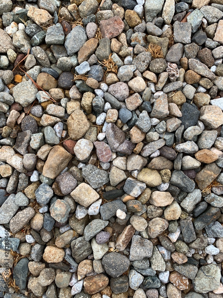 Background of pebbles with different color. Background of pebbles with different color.