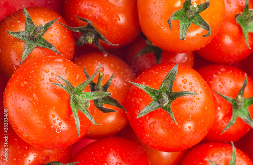 tomatoes on the basket