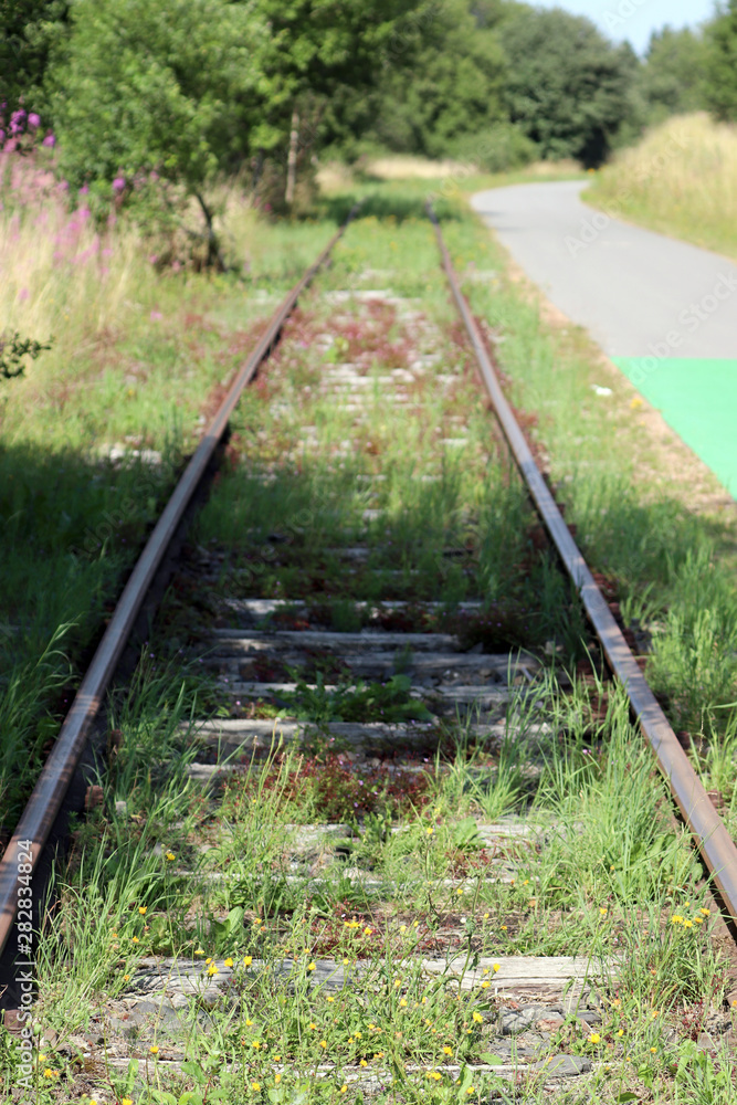 Fototapeta premium Chemin de fer abandonné