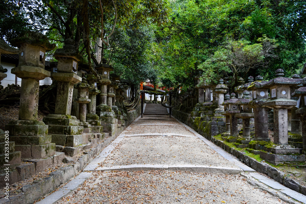 Obraz premium 春日大社 参道