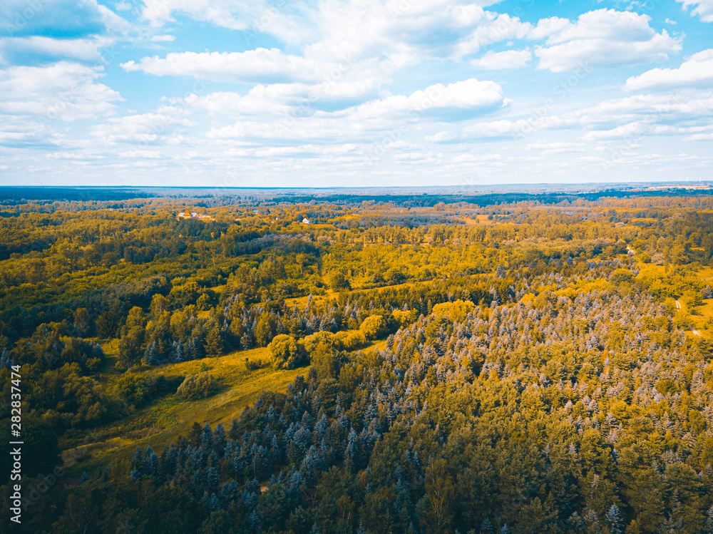 drone is flying over an german forest