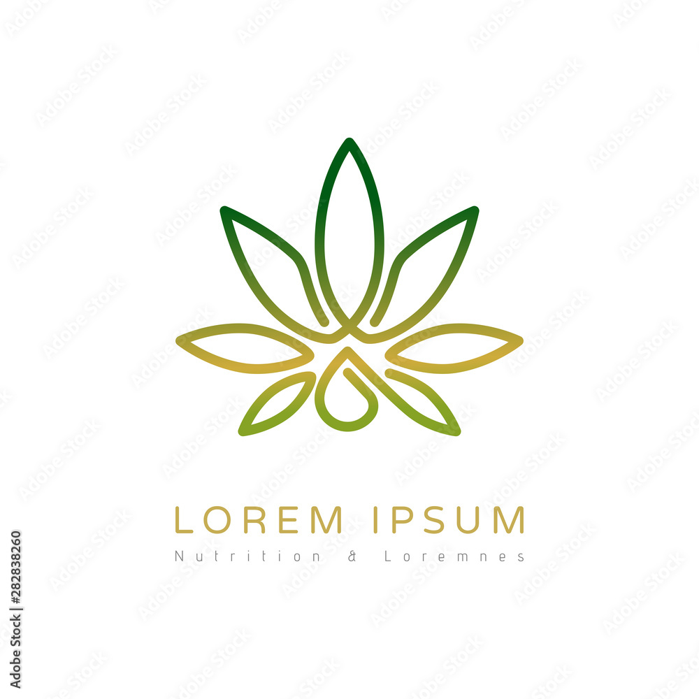 Fototapeta premium Elegant plant logo design. Vector image. 