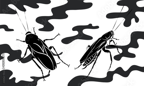 roach team