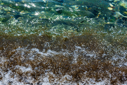 Sea water, marine water, ocean water. Sea waves at the shore. Water color of a sea wave. Mediterranean sea.