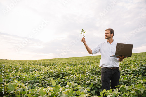 Young agronomist holds tablet touch pad computer in the soy field and examining crops before harvesting. Agribusiness concept. agricultural engineer standing in a soy field with a tablet in summer photo
