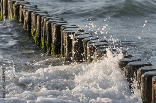 Fototapeta Naklejka Na Ścianę i Meble -  Waves washed around logs on the Baltic coast in the sand