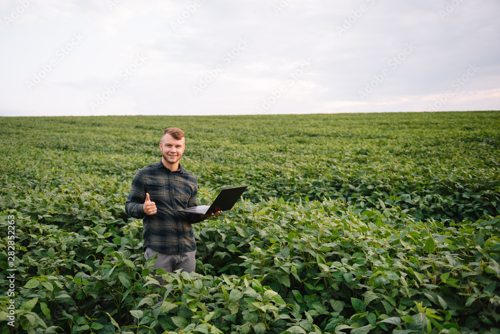 Agronomist inspecting soya bean crops growing in the farm field. Agriculture production concept. Agribusiness concept. agricultural engineer standing in a soy field Agronomist inspecting soya bean crops growing in the farm field. Agriculture production concept. Agribusiness concept. agricultural engineer standing in a soy field