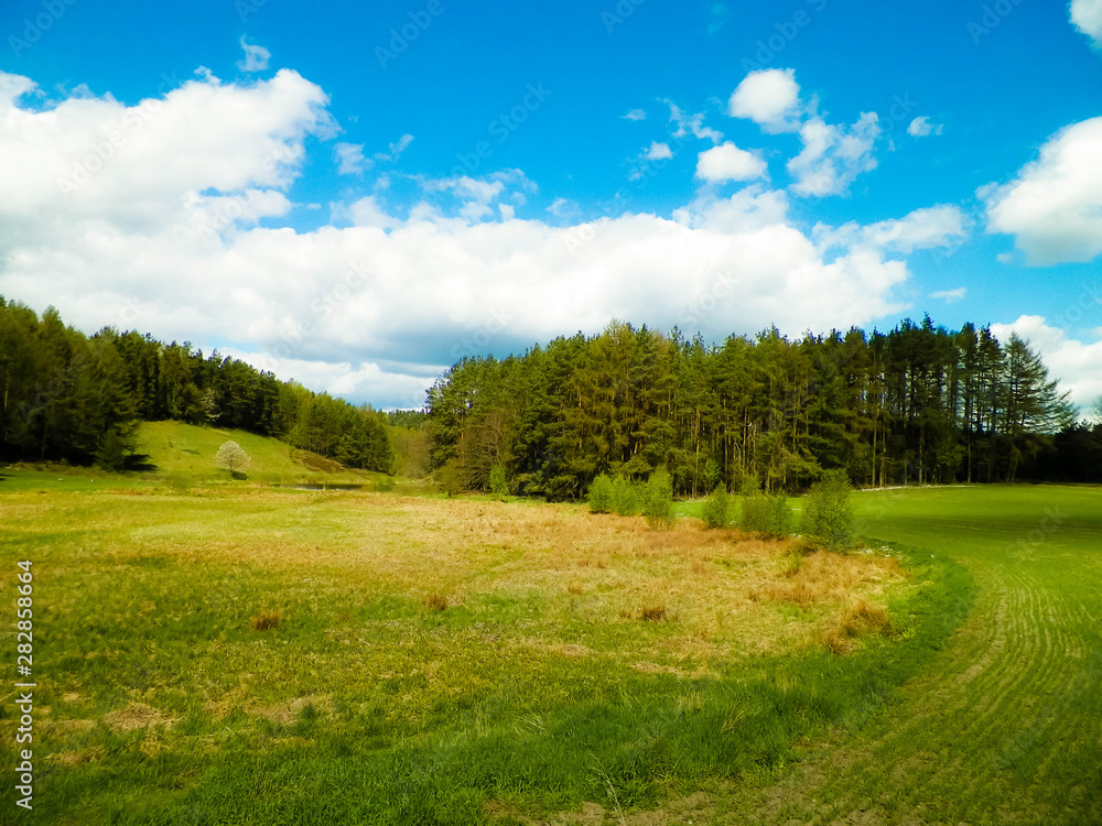 Forest and meadows - Beauty of Kashubia, Poland. Forest and meadows - Beauty of Kashubia, Poland.