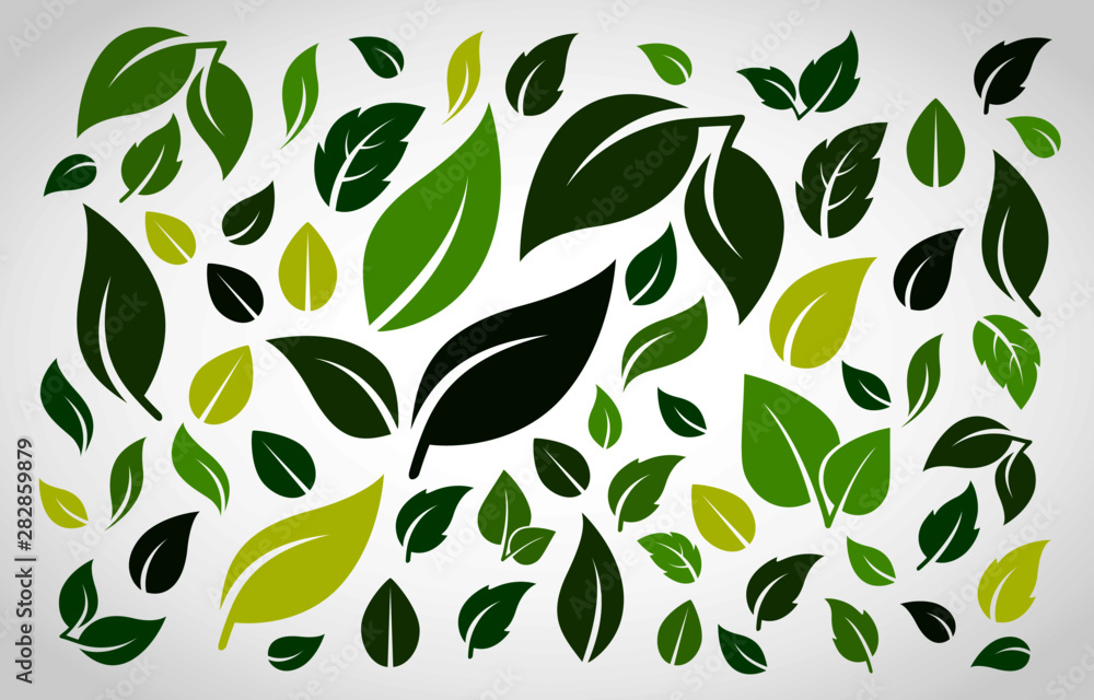 Green leaf icons set on grey background. Green leaf icons set on grey background.