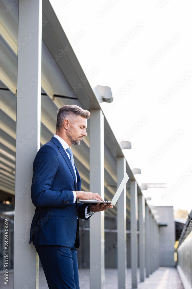 side view of handsome businessman in formal wear using laptop side view of handsome businessman in formal wear using laptop