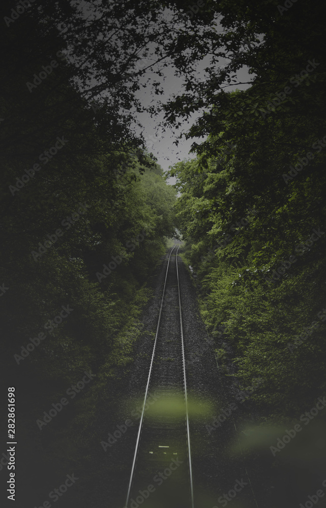 Obraz premium train tracks in forrest