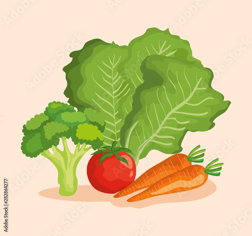 healthy vegetables fresh organic nutrition