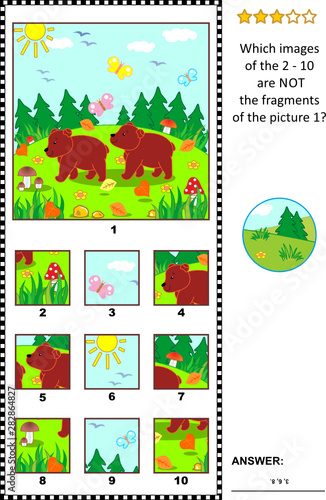 Visual logic puzzle with two little brown bears in the forest  Which images of the 2 - 10 are NOT the fragments of the picture 1 