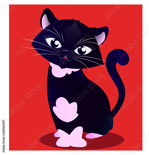 Black Cat