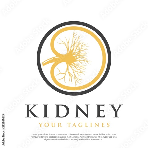 abstract kidney shape vector logo