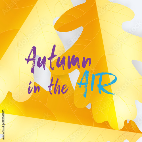 Vector autumn greeting card with hand lettering label and autumn realistic oak leaves background.