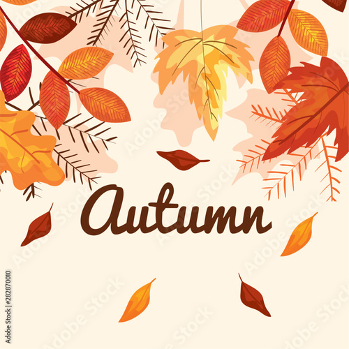 leaves and branches plants to autumn season