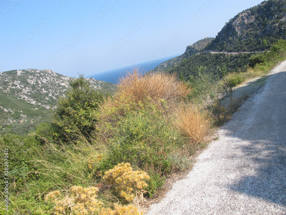 callecita de montaña en skopelos callecita de montaña en skopelos