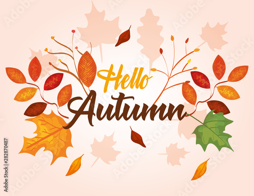 autumn season with branches plants and nature leaves