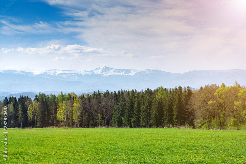 spring landscape. Field of sown oats, forest and mountains. spring landscape. Field of sown oats, forest and mountains.