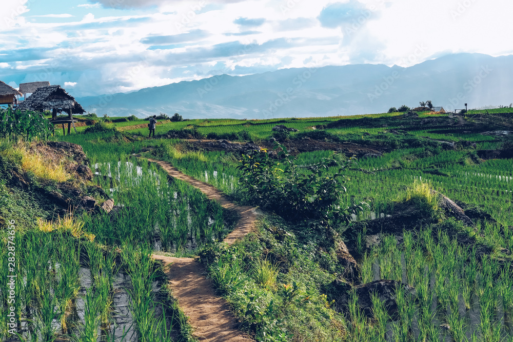 photographer take photo of rice terrace paddy field