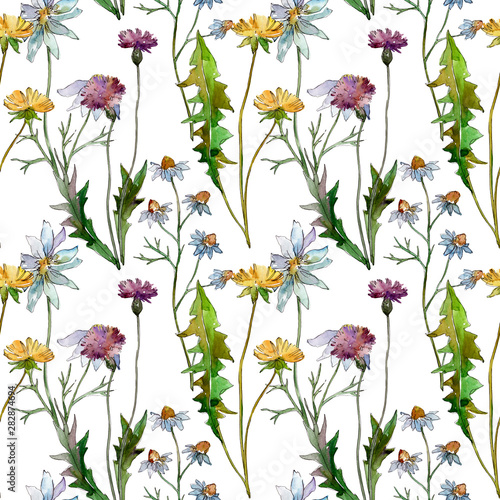 Wildflowers floral botanical flowers. Watercolor background illustration set. Seamless background pattern.
