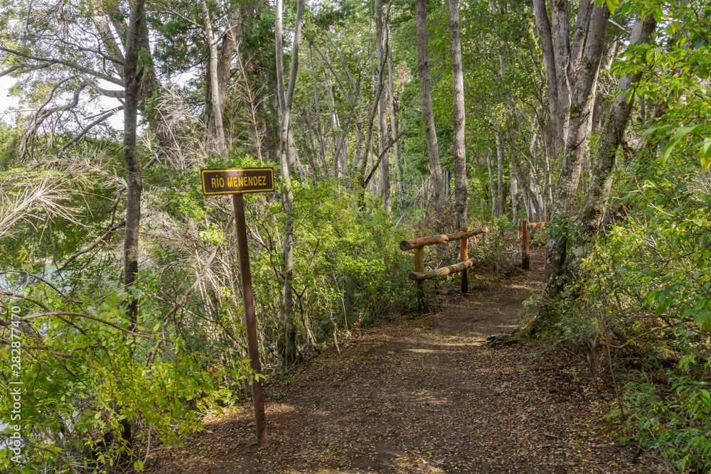 Scene view of path in the forest during autumn season in Los Alerces National Park, Patagonia, Argentina Scene view of path in the forest during autumn season in Los Alerces National Park, Patagonia, Argentina